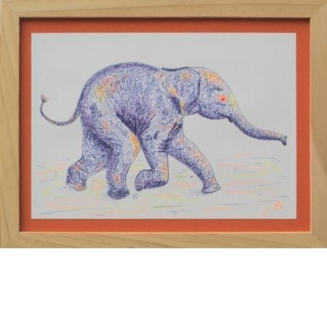 Elephant orange