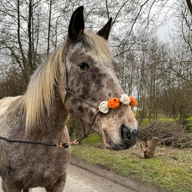 Licol Rosalia taille cheval - marron beige orange 