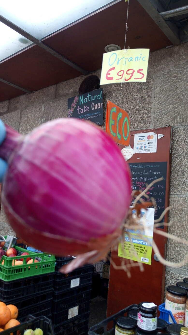 cebolla roja de Amposta