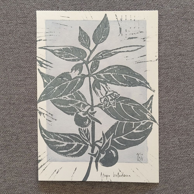 Grusskarte Tollkirsche Linodruck