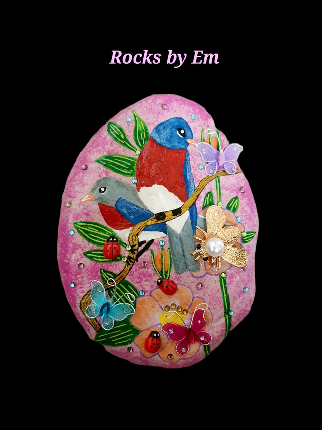 Painted Rock - Pretty Bird