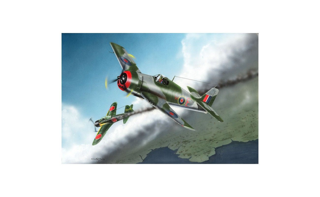 Hellcat Hobbyboss 80360 1/48