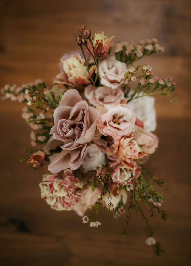 Chèque cadeau "ALBACKIA"