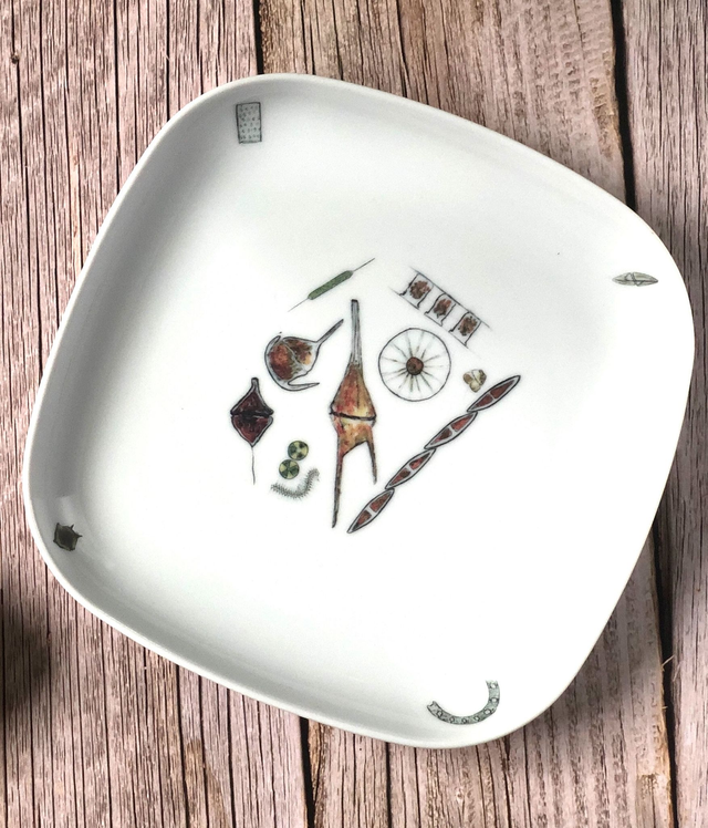 Phytoplankton upcycled plates