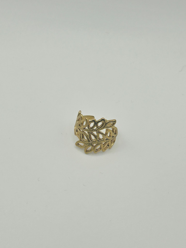 Stainless Steel Ring (SSR83J)