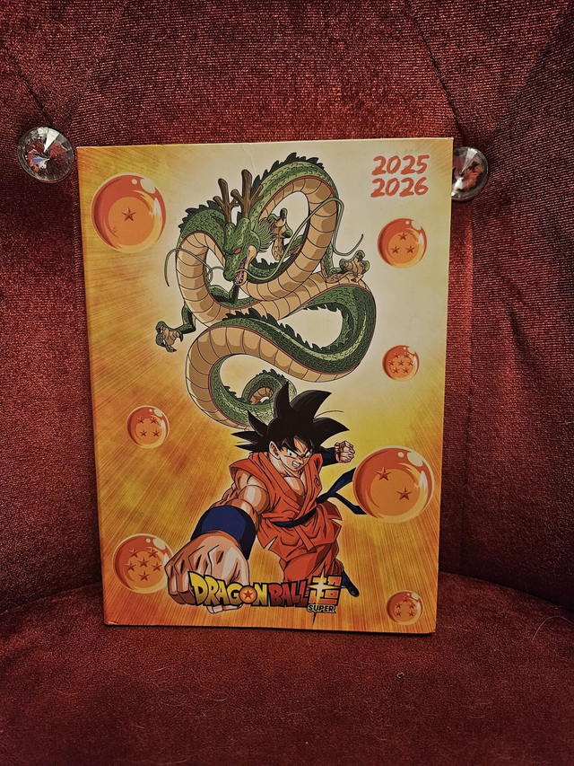 Agenda 25/26 DBZ orange