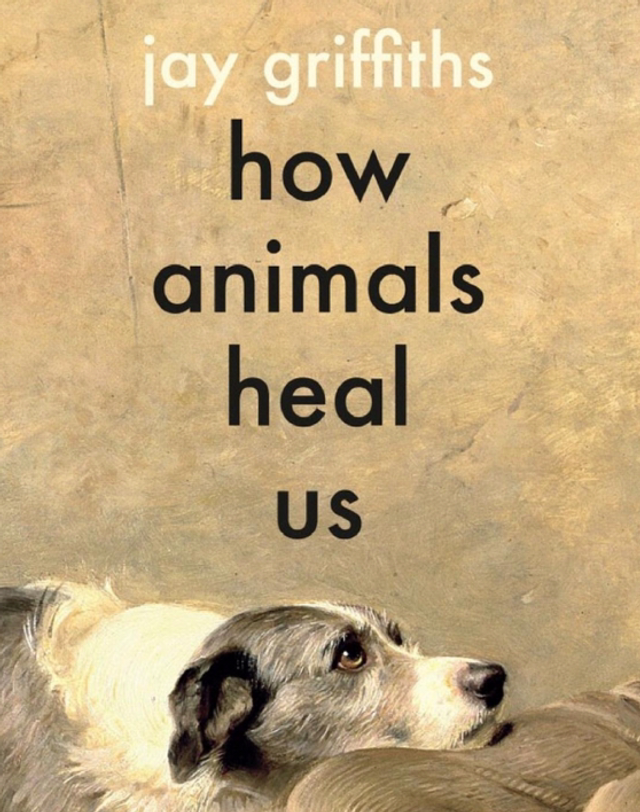 Book - How Animals Heal Us