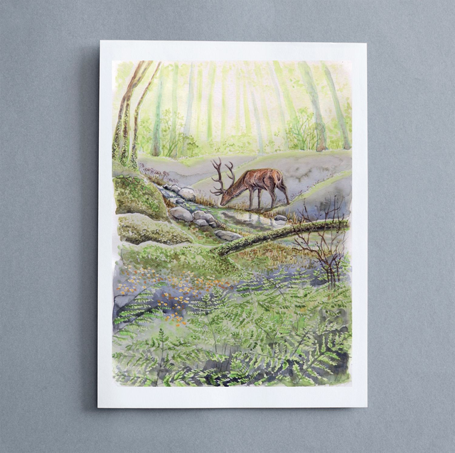 "Animali del Bosco, serie 1" - Riproduzioni numerate