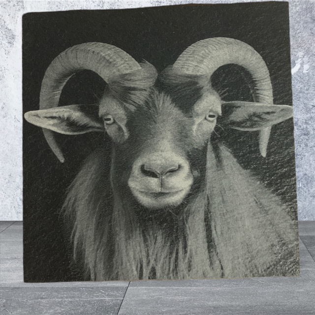 Slate Coaster - Ram