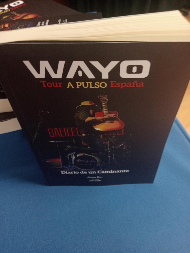 Diario de un caminante