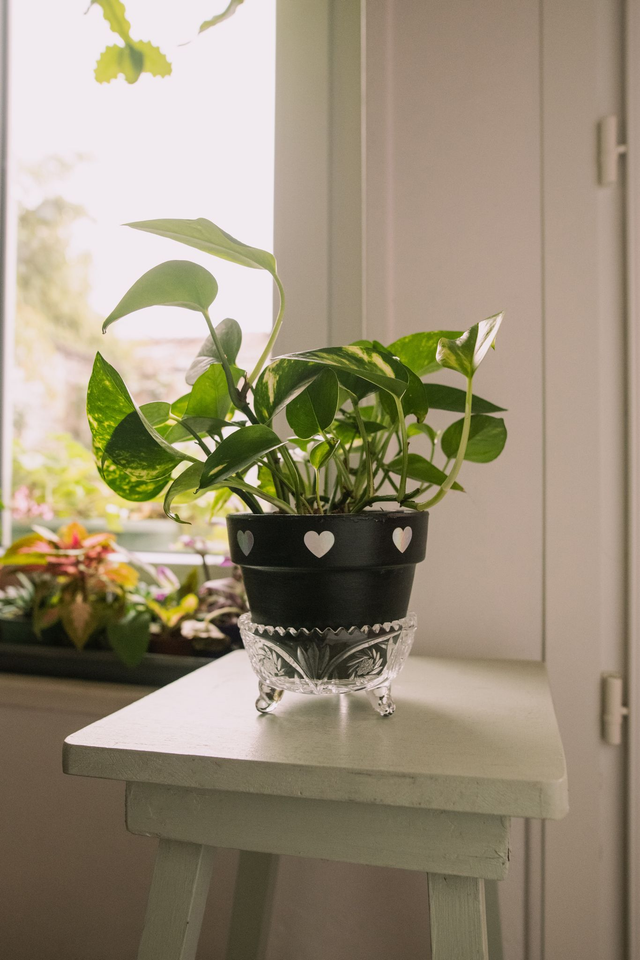 Coupelle en cristal avec des petits pieds ✨