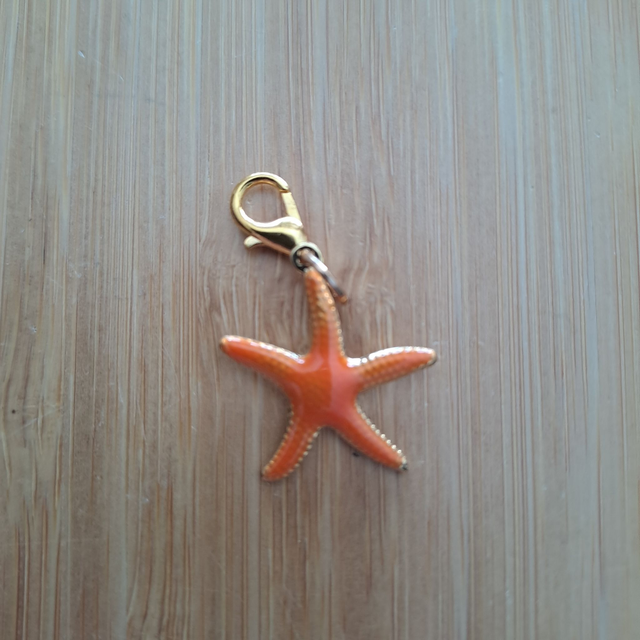Charms étoile de mer