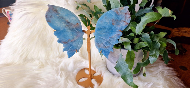 Aquamarine Butterfly Wings with Stand 