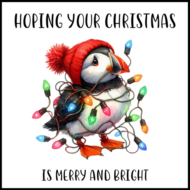 102A - CHRISTMAS CARD - PUFFIN MERRY &amp; BRIGHT