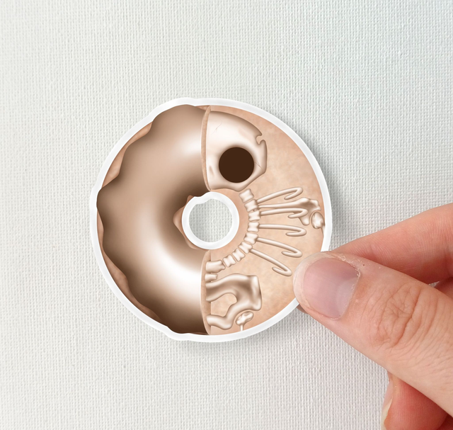 Sticker anatomie d'un donut