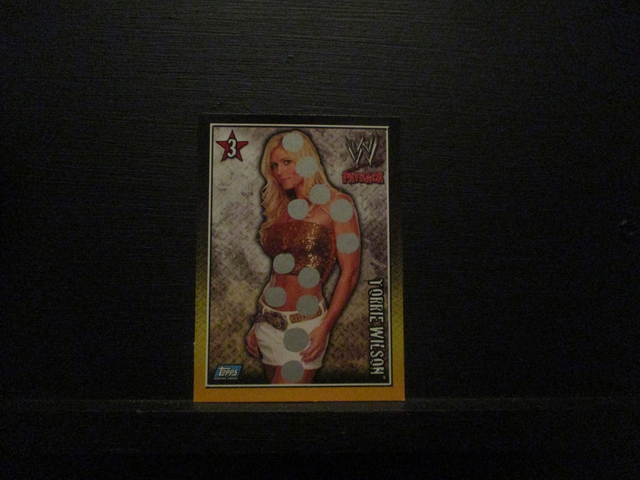 Torrie Wilson - Payback Body Blow Original Trading Card