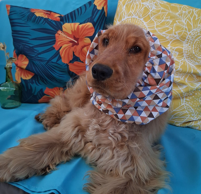 Snood Taille M Motifs Triangles 