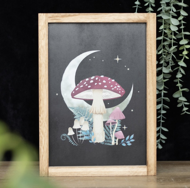 Forest Mushroom Framed Print