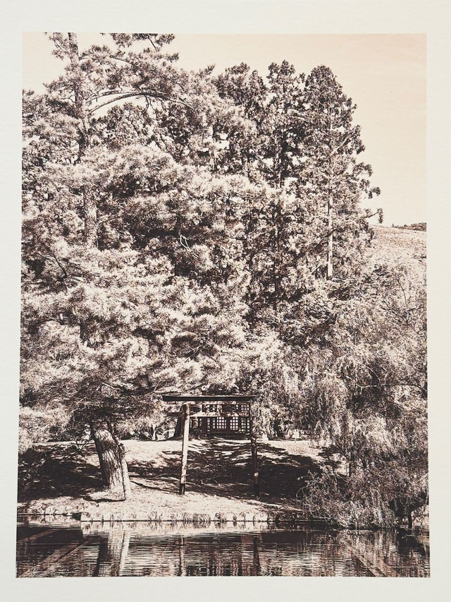 JAPONISSIMO, livre + tirage de tête "Torii", 8/10