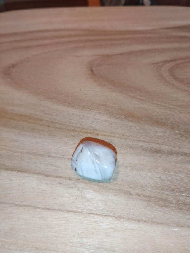 Bois fossile ou bois pétrifié 