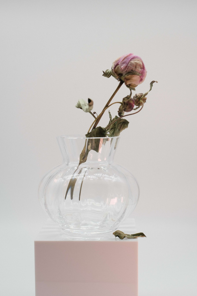 Will break hearts | DAUM France | Crxstal | 70&#039;s - 90&#039;s