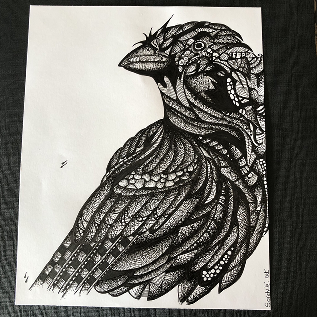 Aigle - 30 x 30 cm - encadrement noir