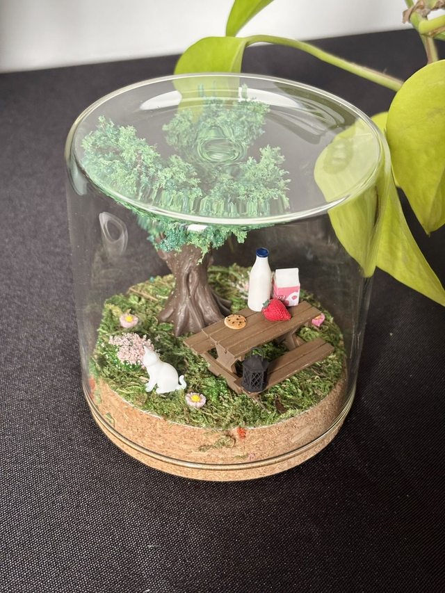 đ Terrarium verre 10cm - Ădition Ă©tĂ©