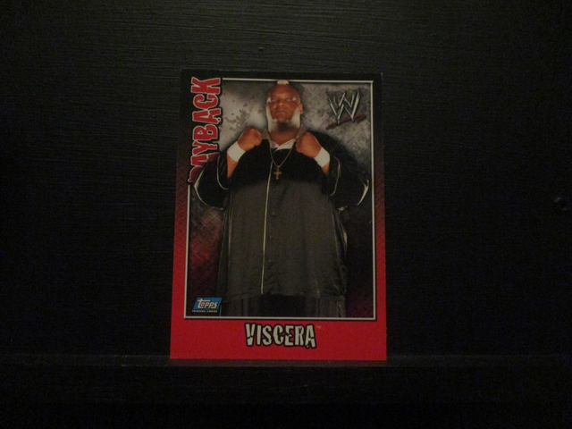 Viscera - Payback Original Trading Card #11