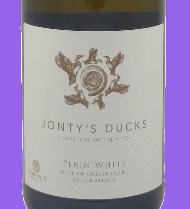 Avondale Jonty’s Ducks Pekin White, Western Cape, South Africa