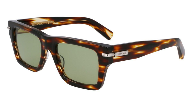 Eyewear Man Salvatore Ferragamo  SF2033S 216