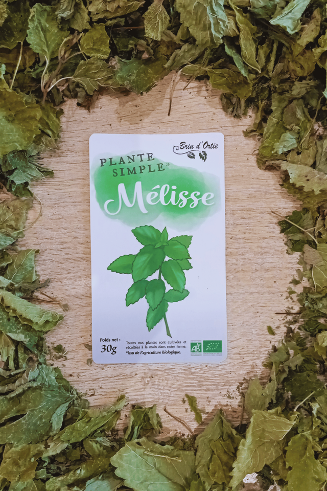 Plante simple, Mélisse