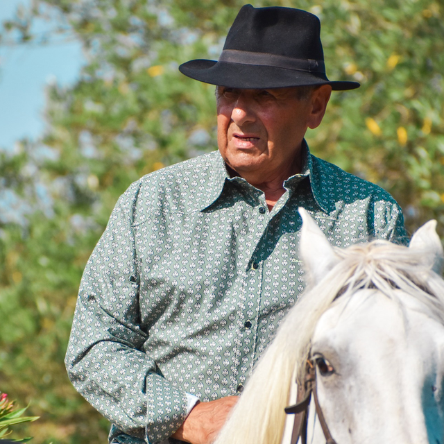 Chemise Folco - Maillane sauge