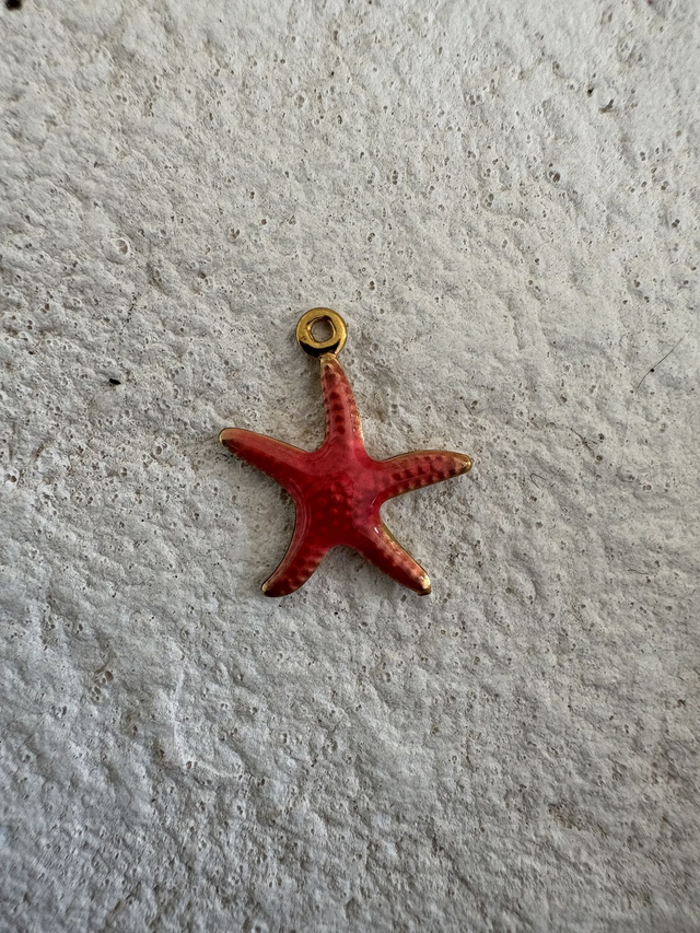 Charm Etoile de mer rose