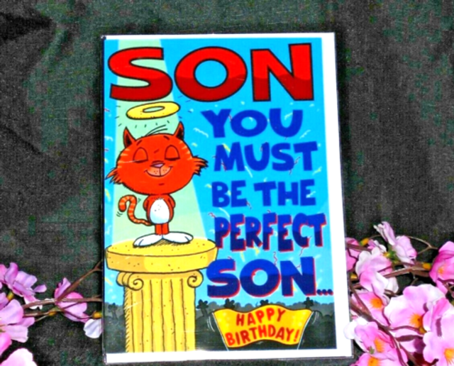 Son Birthday Card Humorous 