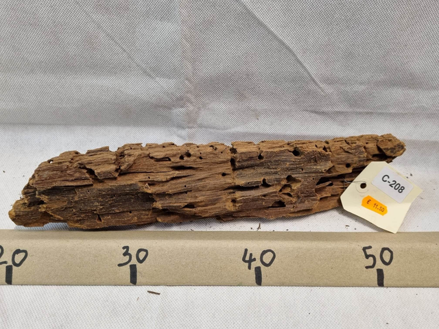 Racine Mangrove C-208