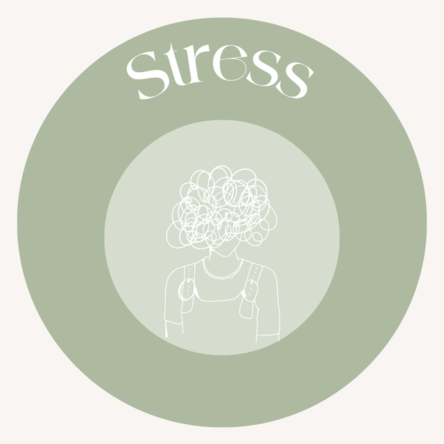 Gestion du Stress (12 séances)