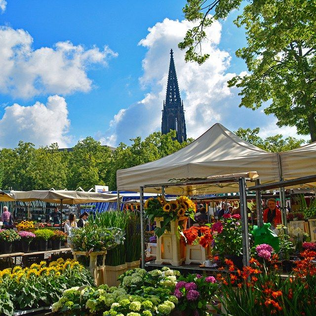 Blumen auf dem Wochenmarkt