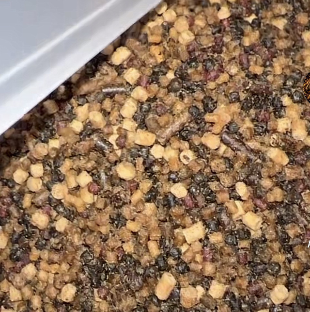 1kg ultra mini mix pellets 
