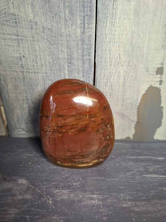 Petrified Wood Free-form 