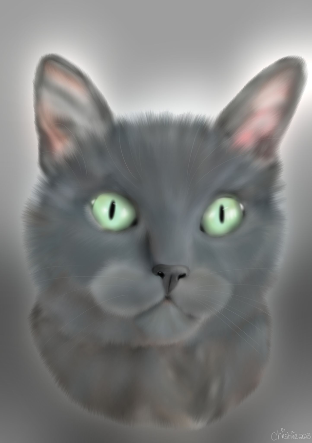 Custom Pet portrait A4 one pet