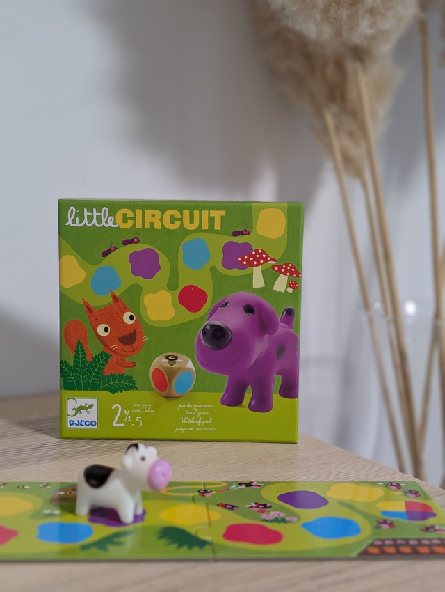 Little circuit Djeco - Prix neuf : 15.99 euros