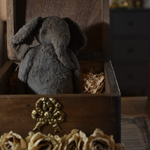 Masterclass : Créez un Éléphant  Accès Vidéo