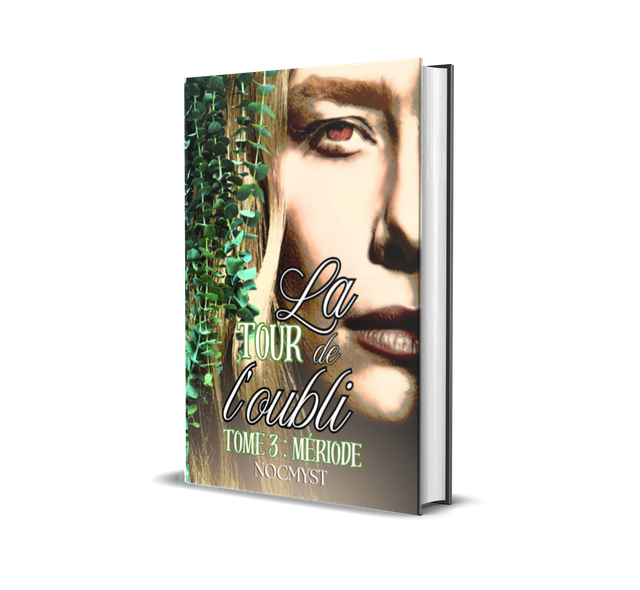 La tour de l'oubli - tome 3