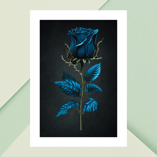 Rose Bleu-Vert sur Fond Gris Ombragé / Blue-Green Rose on Shady Gray Background: Décoration Murale Elegance in Contrast