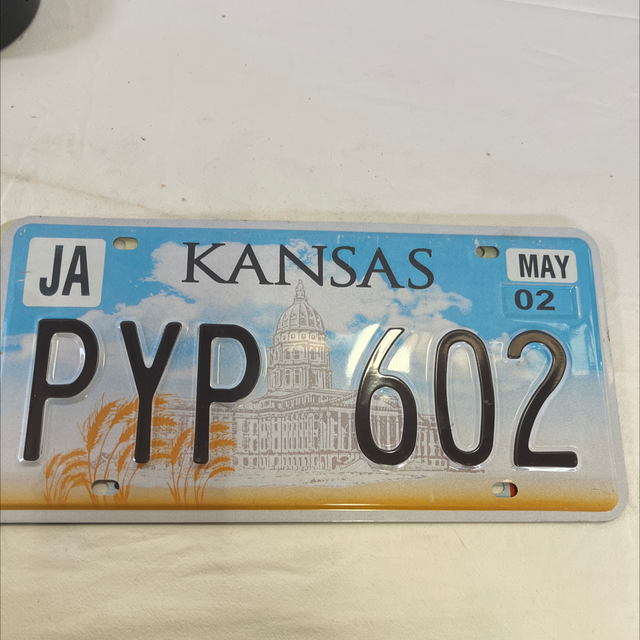 plaque d’immatriculation décorative 