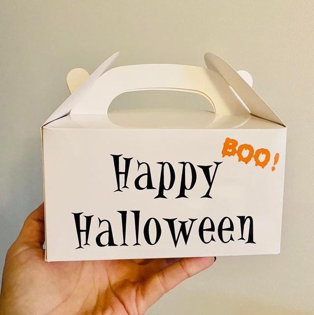 Gift Box - White Handle Box with tissue paper &amp; ribbon