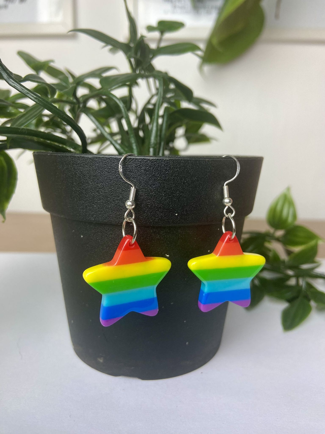 Rainbow star earrings. 