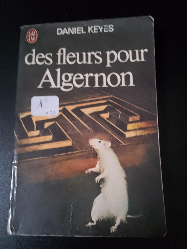 Des fleurs pour Algernon, Daniel Keyes