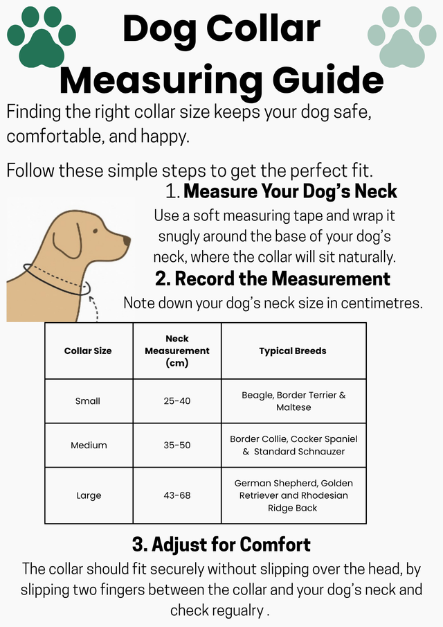 Dog Collars