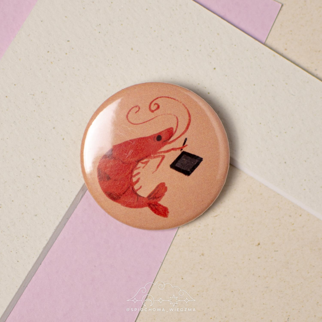 Krewetka | ZWIERZĘTA